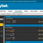 Recensione Enjoybet
